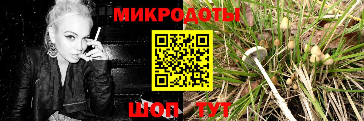 Галлюциногенные грибы Psilocybe  Вход с VPN  Энгельс 