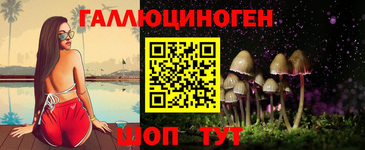 Псилоцибиновые грибы Psilocybine cubensis Энгельс